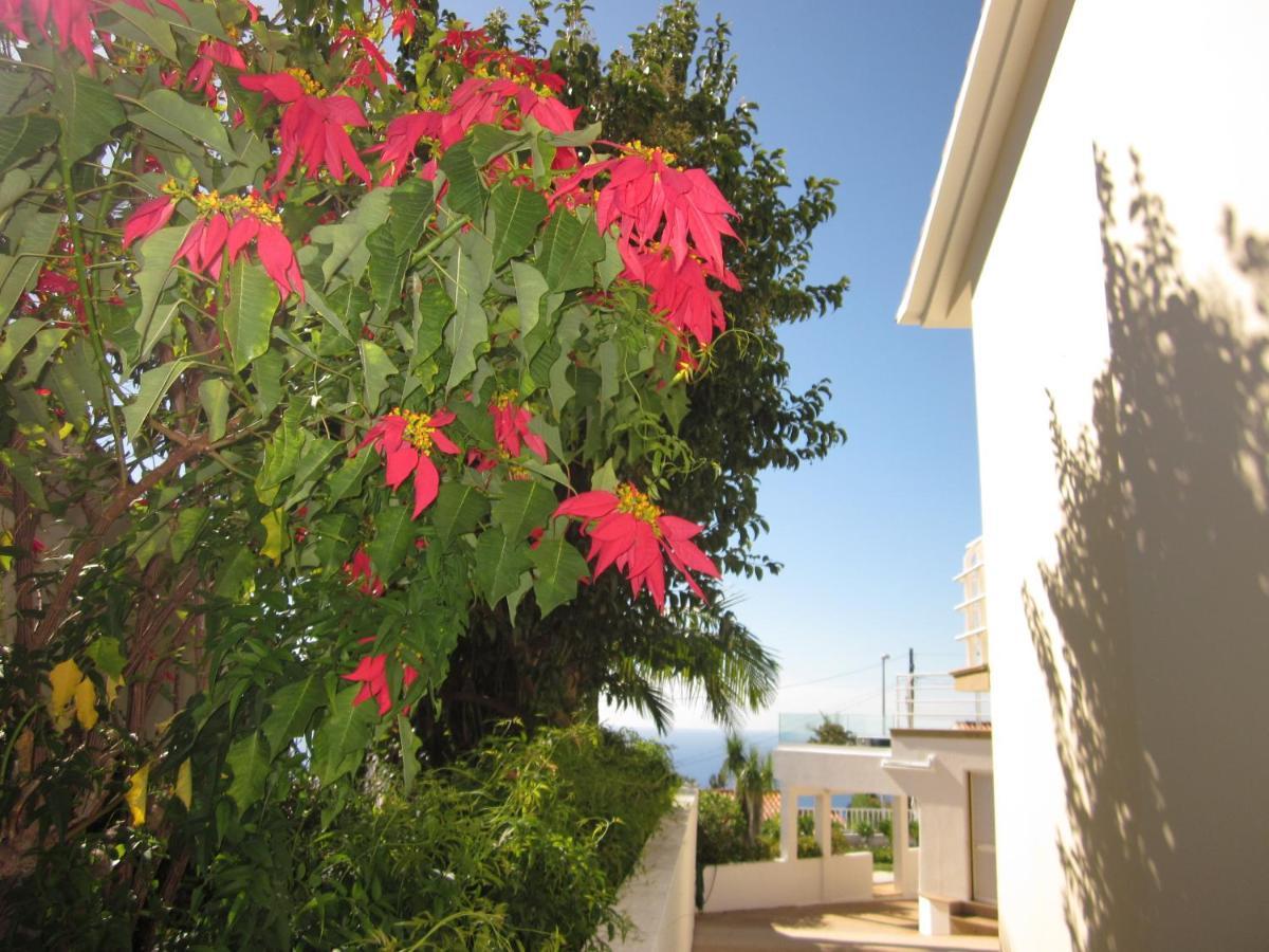 Villa Hansen In Garajau - Cristo Rei كانيكو المظهر الخارجي الصورة